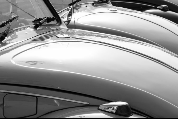 mosq - Fotografia de Denise Becker Mosq