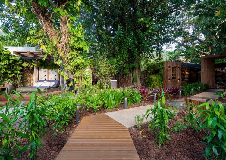 jardim-das-fragracias_laura-gransotto_larissa-gransotto-ABD