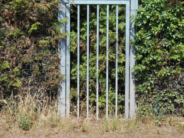 Um portão intransponível, da série “Sem Título” (2019) criada pelo grupo do ateliê de fotografia realizado no Past Foto Divulgação.