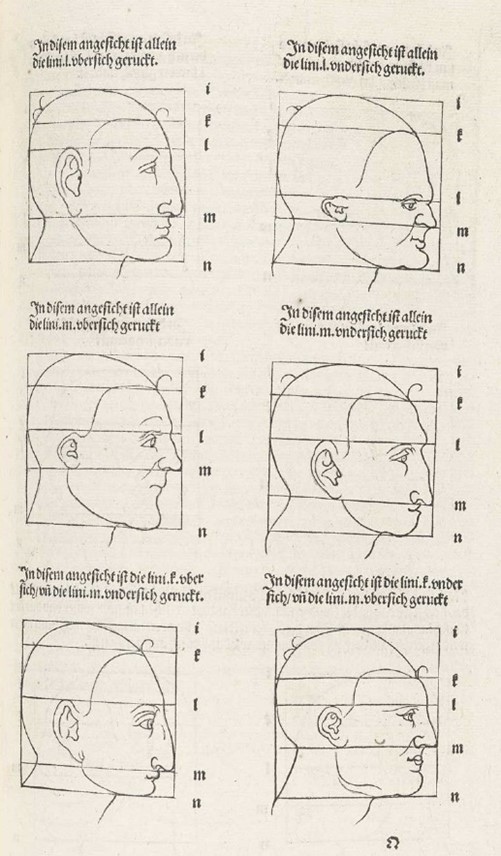 Albrecht Dürer, Estudos da cabeça 1528