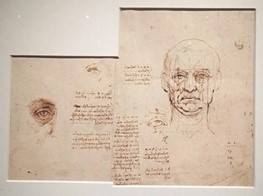 Leonardo da Vinci, Estudos da proporção do corpo humano (c.1489-1490