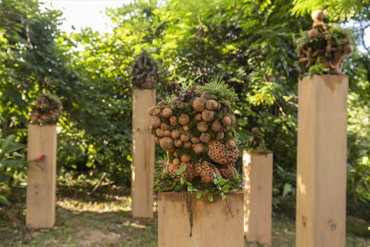 assembleia, exposição OTropicalista. foto fernando-willadino