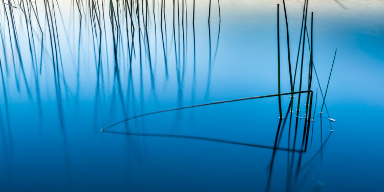 ZEN - Tavares, Rio Grande do Sul - foto de Ze Paiva - Vista Imagens