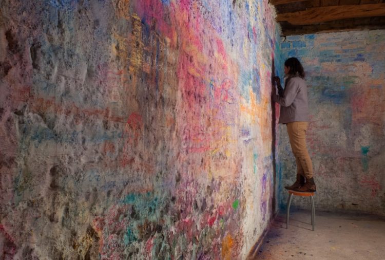 artista-letícia-cardoso