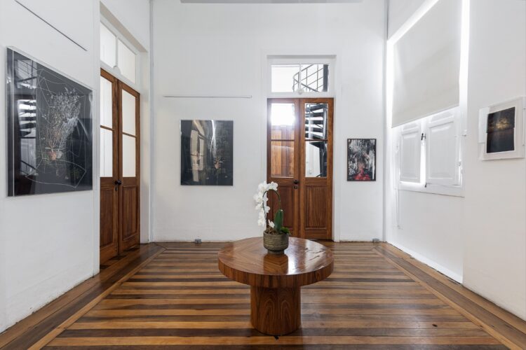 programa-artístico-casacanto-foto-fernando willadino