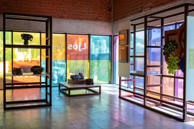 veras design-comissão curatorial-foto-soniunha vill