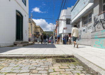 foto fernando willadinoi