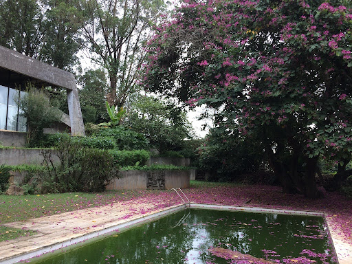 hans-broos-Casa Morumbi, Coleção Serraglio-Brasil