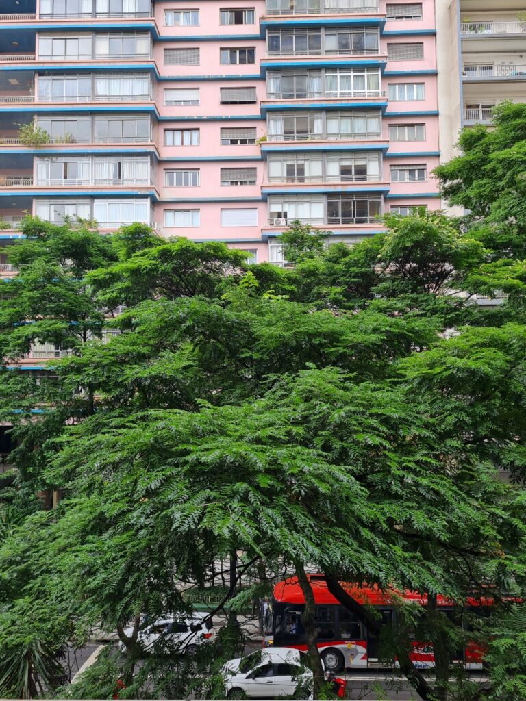 Vista da Galeria Metrópoles