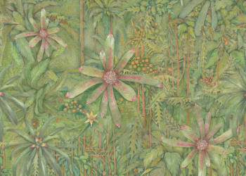 walmor correa - Exposição inédita do artista Walmor Corrêa abre dia 26 na Helena Fretta Galeria de Arte, em Florianópolis. crédito Walmor Corrêa