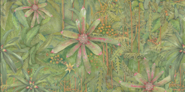 walmor correa - Exposição inédita do artista Walmor Corrêa abre dia 26 na Helena Fretta Galeria de Arte, em Florianópolis. crédito Walmor Corrêa